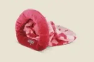 חנות חיות נס ציונה