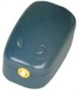 חנות חיות בראשון לציון