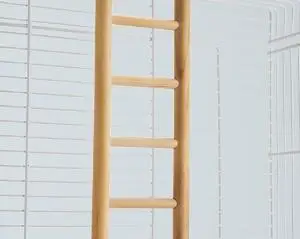 צעצועי כלבים