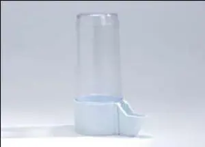 חנות חיות בנס ציונה